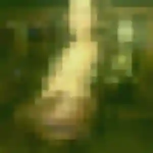 Photo privée de Verane, 37 ans à Soullans - rencontre sans lendemain