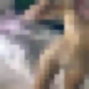 Fleur, 33 ans, disponible à Tesson pour une rencontre coquine