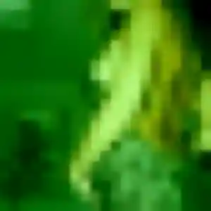 Charmante Geraldine, 44 ans à Thorée-les-Pins - la contacter