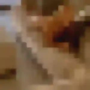 Photo de Josephine à Thuir (23 ans) - plan cul gratuit