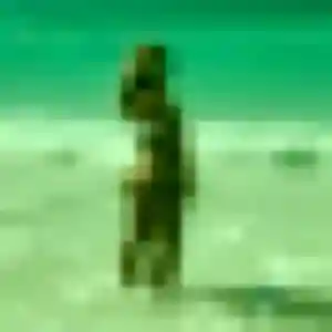 Charmante Louna, 42 ans à Tiffauges - la contacter
