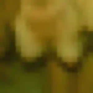 Jolie Ninon, 35 ans à Tilloy-lès-Mofflaines - la contacter
