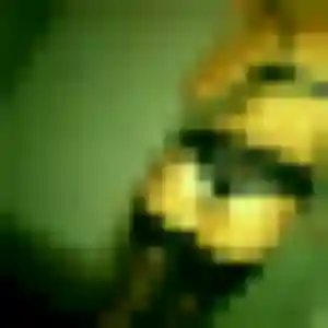 Photo privée de Daniela, 42 ans à Toulouse - plan discret