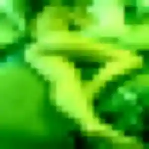 Photo de Zephyrine à Trégastel (38 ans) - plan cul gratuit