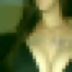 Profil de Flavie à Trémolat (37 ans) - plan cul anonyme