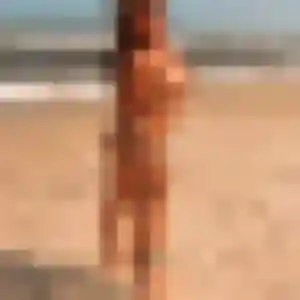 Photo de Caroline à Trouhans (39 ans) - plan cul sans inscription