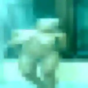 Morgane (34 ans) à Urzy cherche une rencontre ce soir