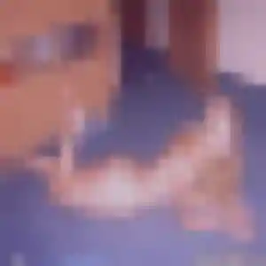 Severine (25 ans) à Valmondois cherche une rencontre ce soir