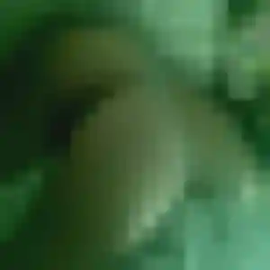 plan cul à Valmont : profil de Stephanie, 44 ans - inscription gratuite