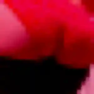 Profil de Chloe à Vendrennes (36 ans) - plan cul gratuit