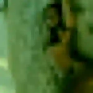 Photo de Theresa à Ventavon (32 ans) - plan cul discret