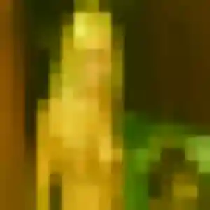 Photo de Wahiba à Vergigny (25 ans) - plan cul anonyme