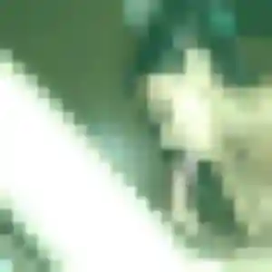 Tania (45 ans) à Vernon propose une rencontre rapidement