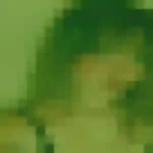 Charmante Muriel, 40 ans à Vicq-sur-Nahon - la contacter