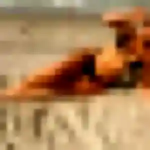 Contacte Daniela, 36 ans à Villegailhenc gratuitement