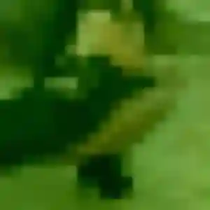 Profil de Oriane à Villemur-sur-Tarn (27 ans) - plan cul gratuit
