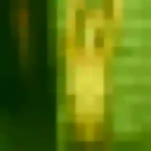 Caroline (28 ans) à Villevieille cherche une rencontre rapidement
