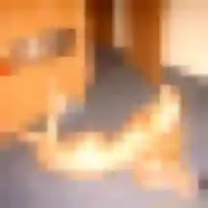 Gaelle, 29 ans, en ligne à Vimont pour une rencontre coquine