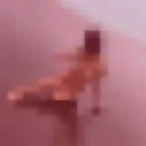 plan cul à Vimory : photo de Brigitte, 45 ans - sans engagement
