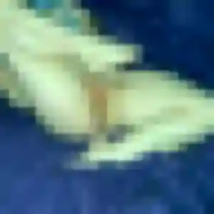Photo de Nadine à Vogelgrun (34 ans) - plan cul sans inscription