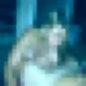 Profil de Aisha à Voglans (31 ans) - plan cul anonyme