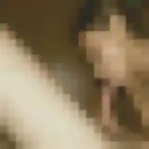 Charmante Alexandra, 23 ans à Wahagnies - voir sa photo