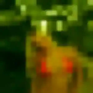 Profil de Estee à Weckolsheim (38 ans) - plan cul discret