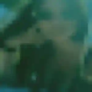 Profil de Joanne à Xanton-Chassenon (28 ans) - plan cul discret