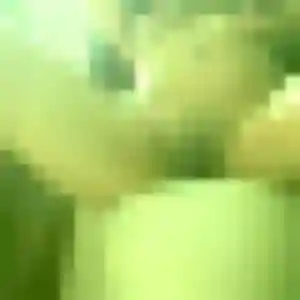 Photo perso de Azalee, 41 ans à Zellwiller - rencontre coquine