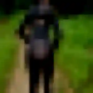 Geneve, fille de 25 ans cherche plan cul à Zillisheim